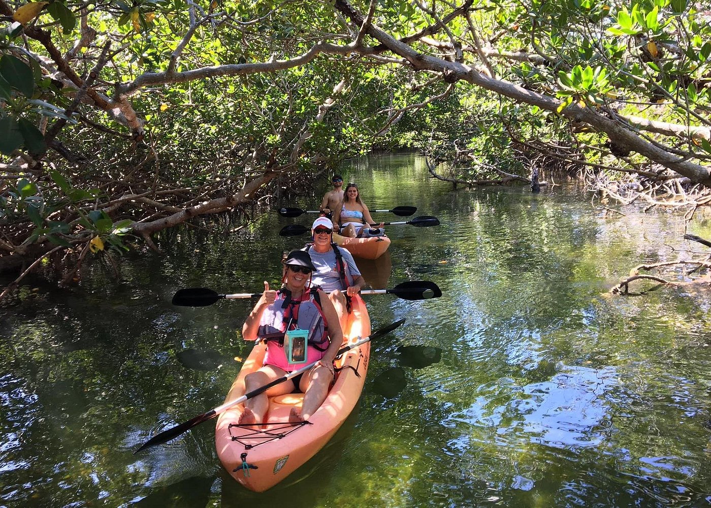 Mangroves and Manatees - Guided Kayak Eco Tour